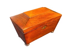 Regency Mahogany Sarcophagus form Tea Caddy