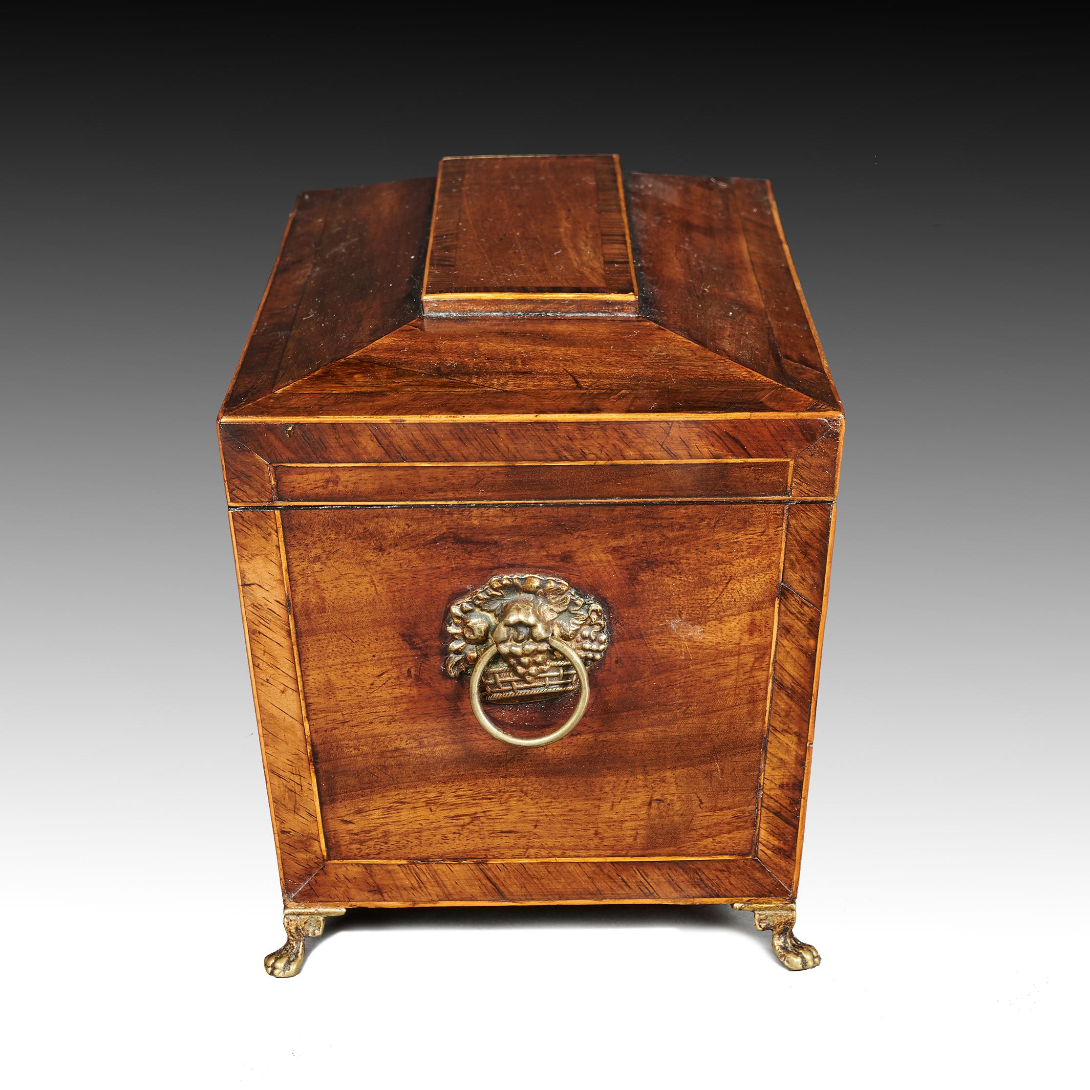 19th Century Regency Mahogany Sarcophagus Shaped Tea Caddy