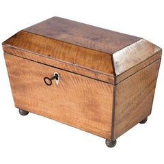 Regency Mahogany Sarcophagus Tea Caddy