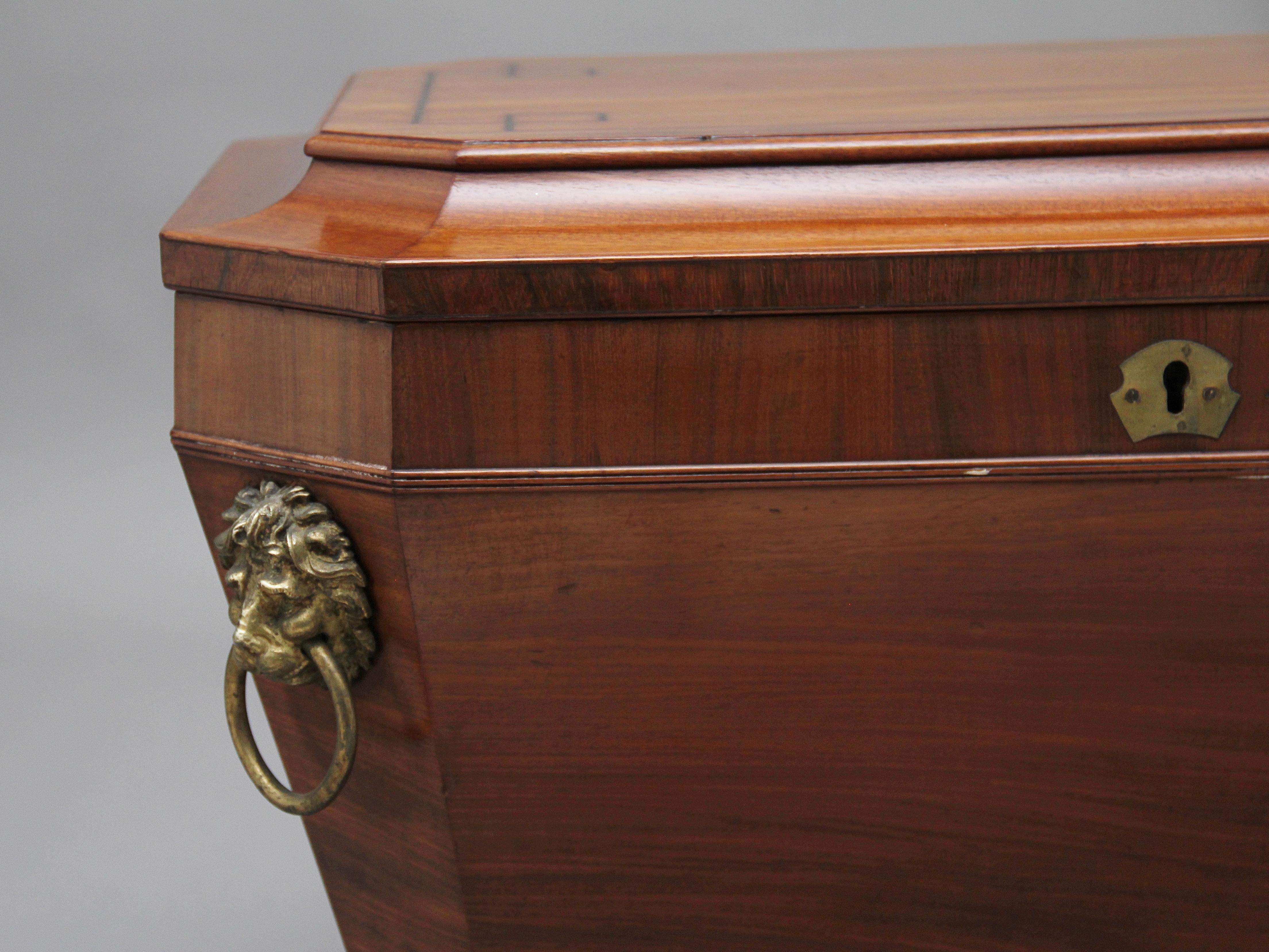 Regency Mahogany Sarcophagus Wine Cooler For Sale 7