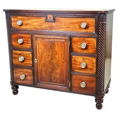 Regency Mahogany Side Cupboard