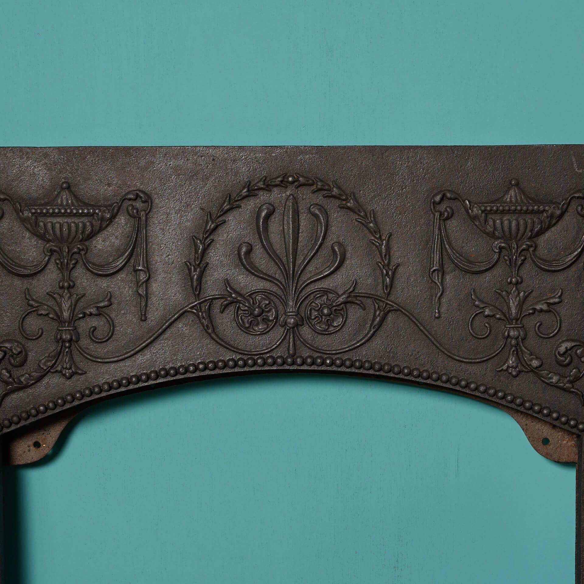 19th Century Regency Period Brass & Cast Iron Fire Insert For Sale