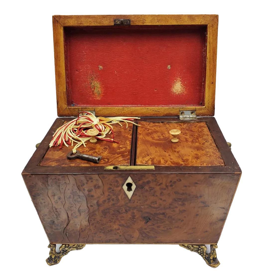 Boite à thé Regency en bois d'if ronceux de forme fuselée avec couvercle à caisson et bords incrustés de cordes en bois satiné, reposant sur des pieds en laiton en forme d'aigle aux ailes déployées, avec des poignées en anneau et des dos fleuris, le