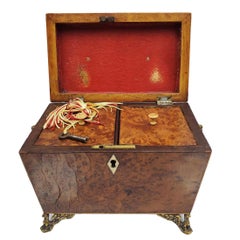 Regency Period Burled Yew Wood Tea Caddy on Brass Spread-Winged Eagle Feet