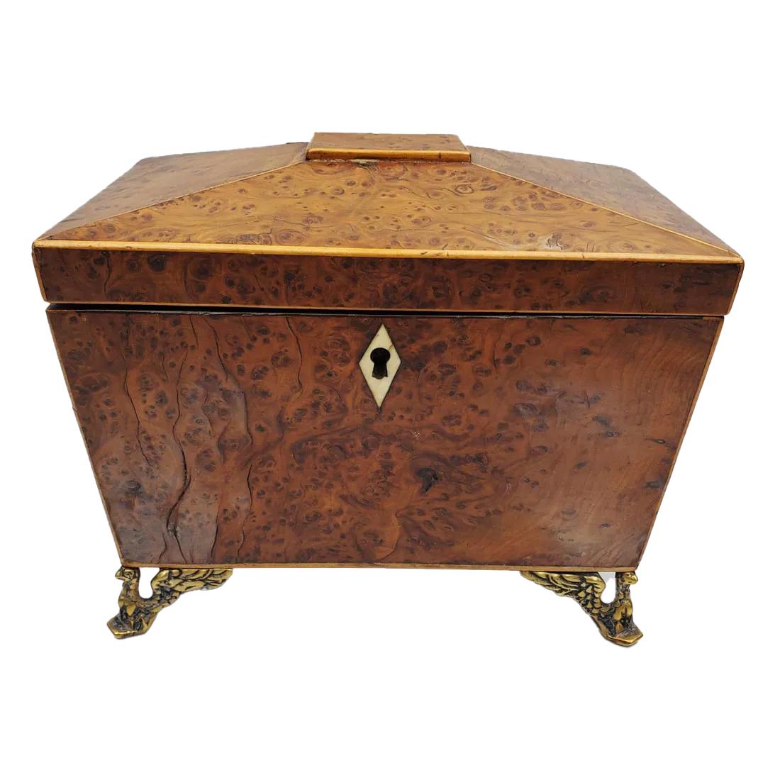 Regency Caddy à thé d'époque Régence en bois d'if brûlé sur pieds d'aigle ailés évasés en laiton en vente
