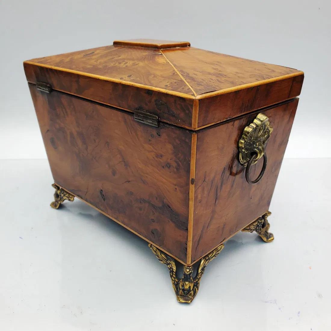 Caddy à thé d'époque Régence en bois d'if brûlé sur pieds d'aigle ailés évasés en laiton Bon état - En vente à Chapel Hill, NC