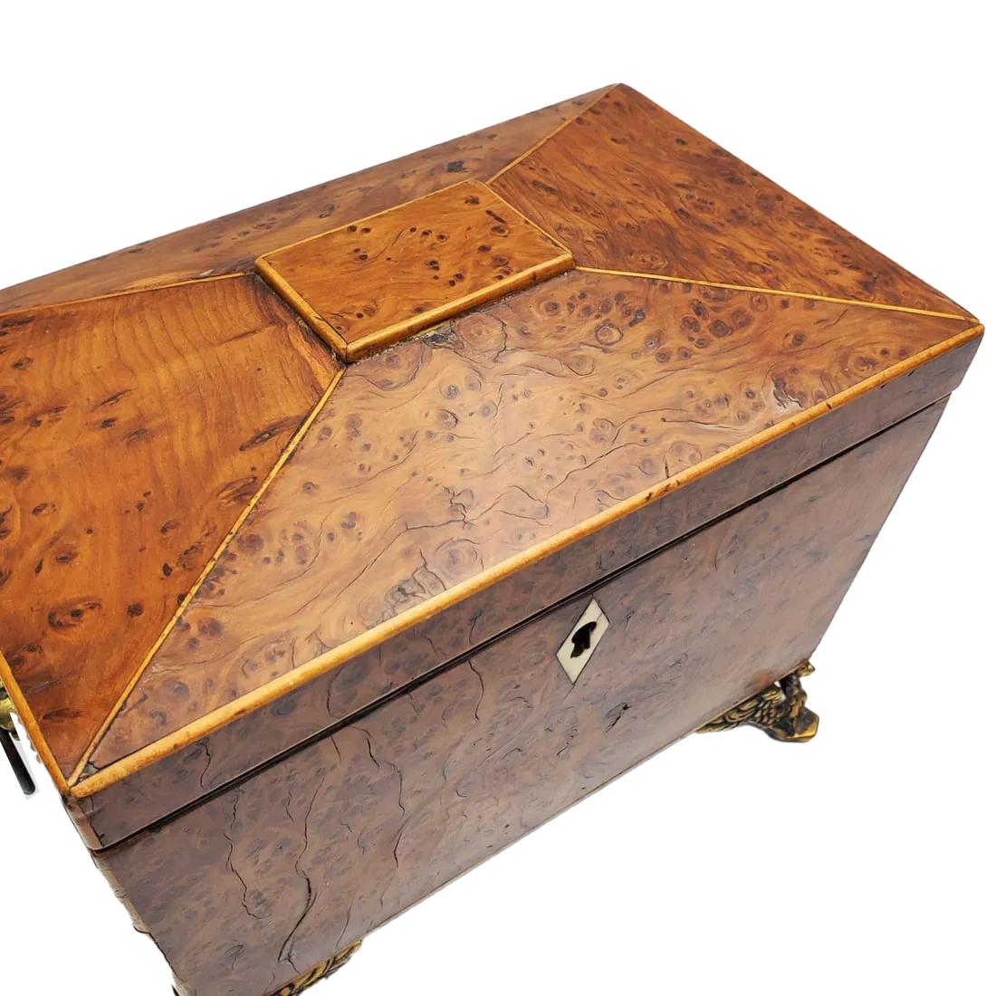 XIXe siècle Caddy à thé d'époque Régence en bois d'if brûlé sur pieds d'aigle ailés évasés en laiton en vente