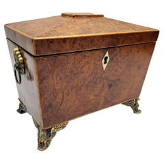 Regency Period Burled Yew Wood Tea Caddy on Brass Spread-Winged Eagle Feet