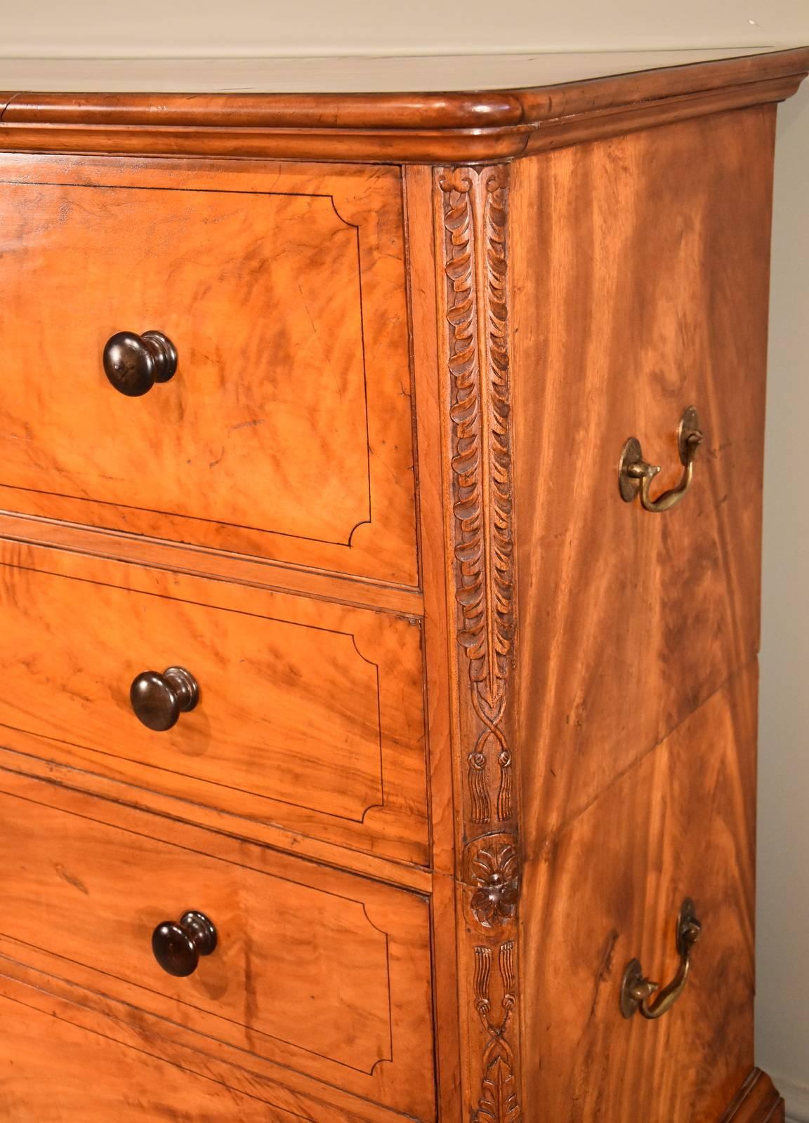 Regency Period Camphorwood Campaign Secretaire Chest of Drawers In Good Condition For Sale In Wiltshire, GB