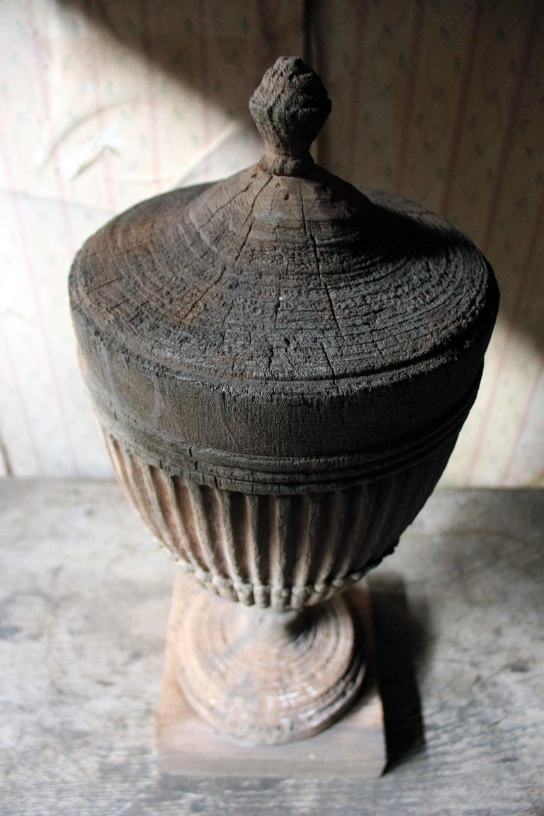 Regency Period Carved Stripped Pine Neoclassical Architectural Urn, circa 1800 at 1stDibs