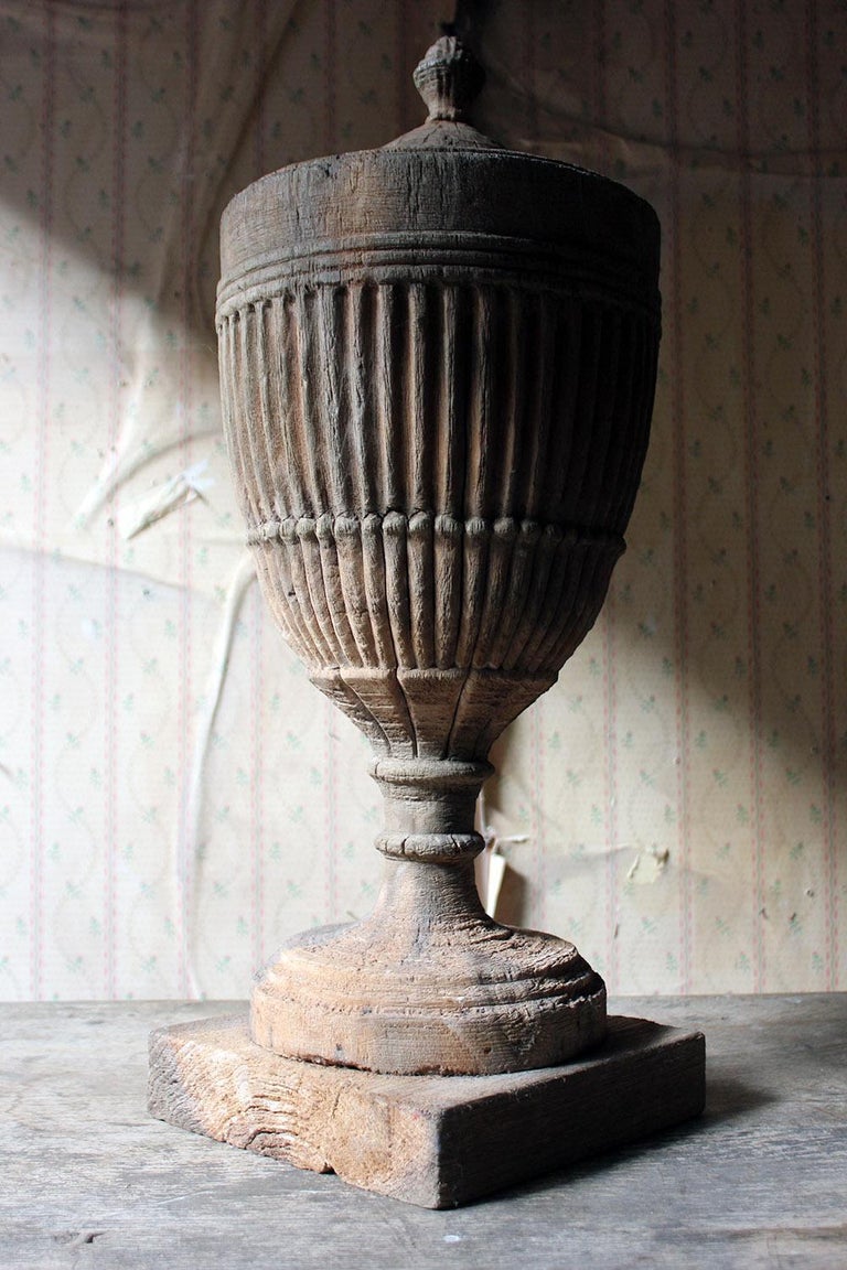 Regency Period Carved Stripped Pine Neoclassical Architectural Urn, circa 1800 at 1stDibs