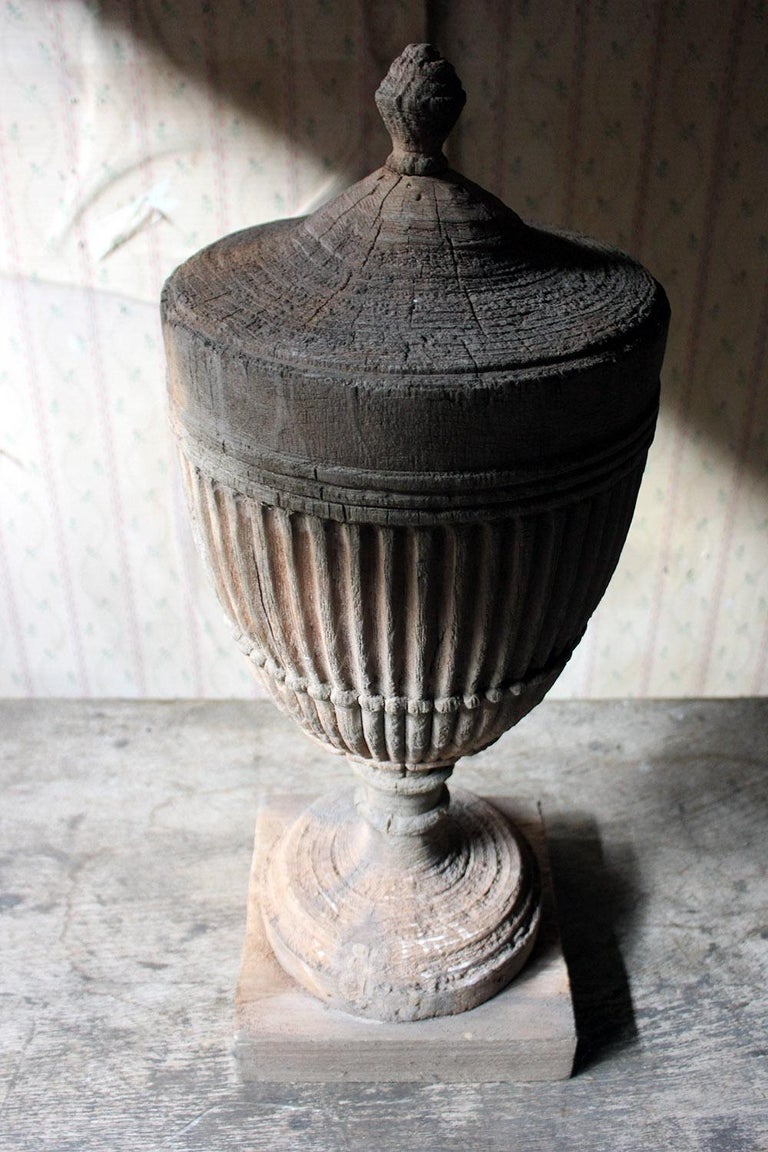 Regency Period Carved Stripped Pine Neoclassical Architectural Urn, circa 1800 at 1stDibs