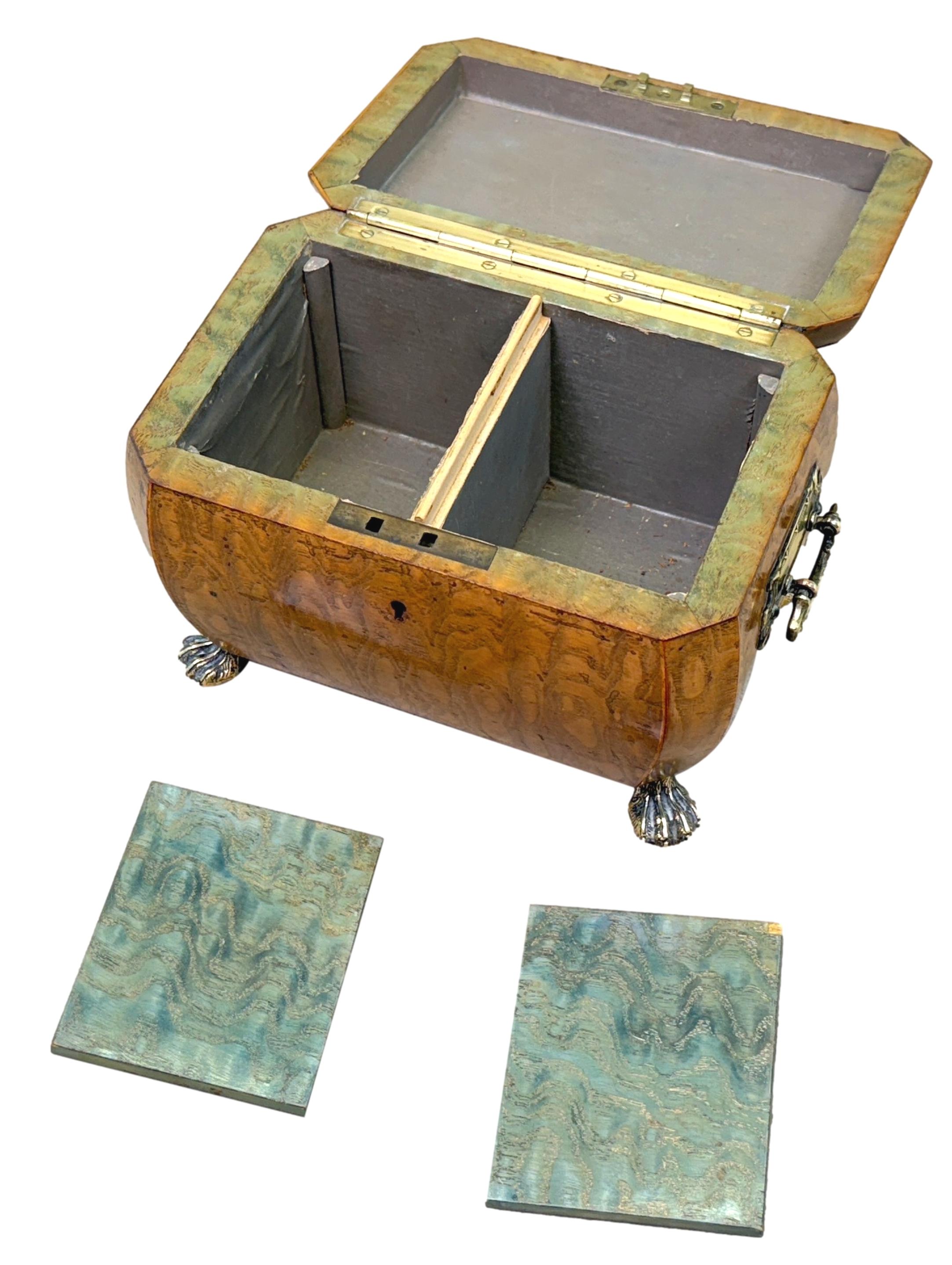 Regency Period Elm Curved Bombe Tea Caddy In Good Condition For Sale In Bedfordshire, GB