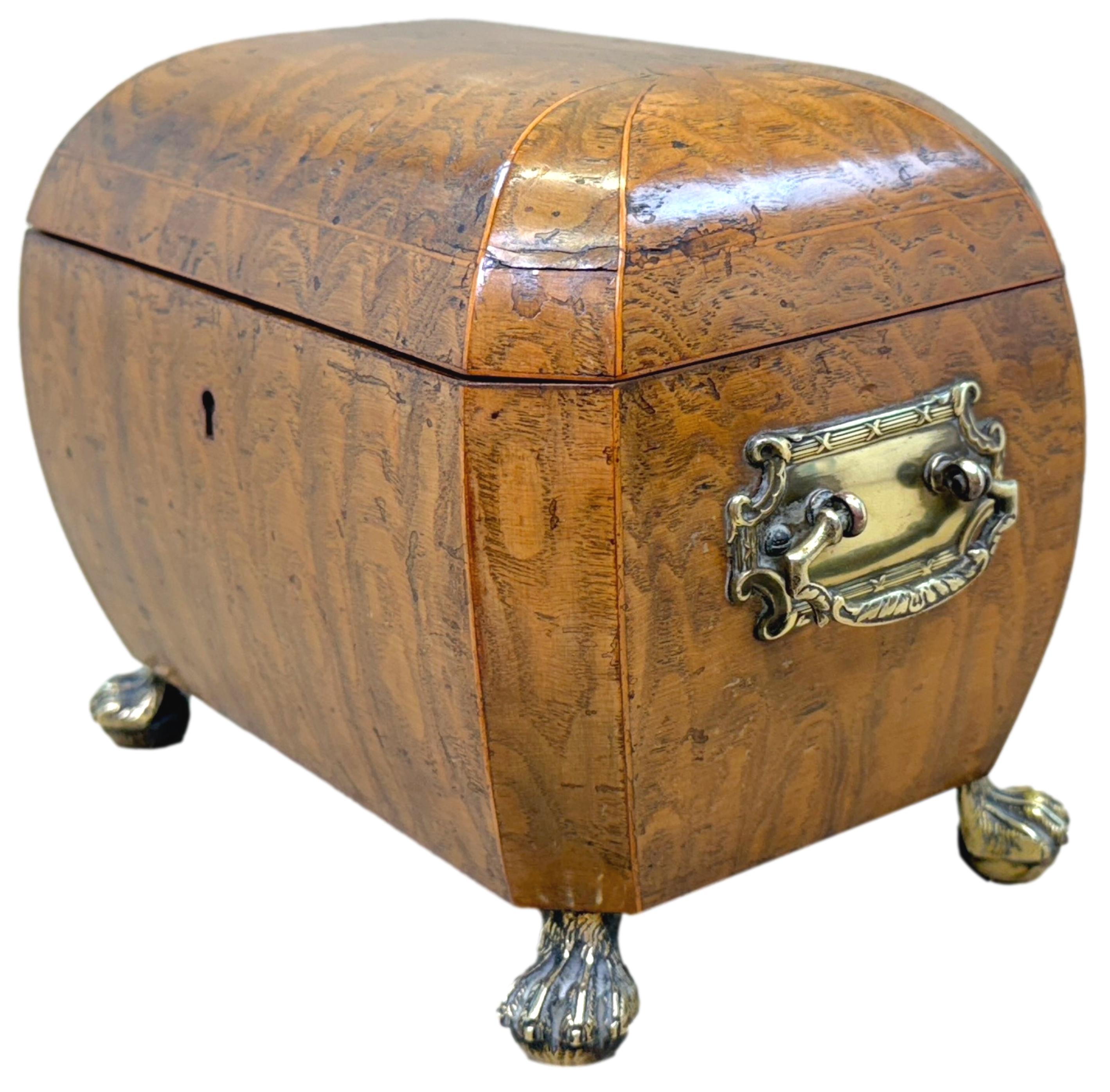 Regency Period Elm Curved Bombe Tea Caddy For Sale 1