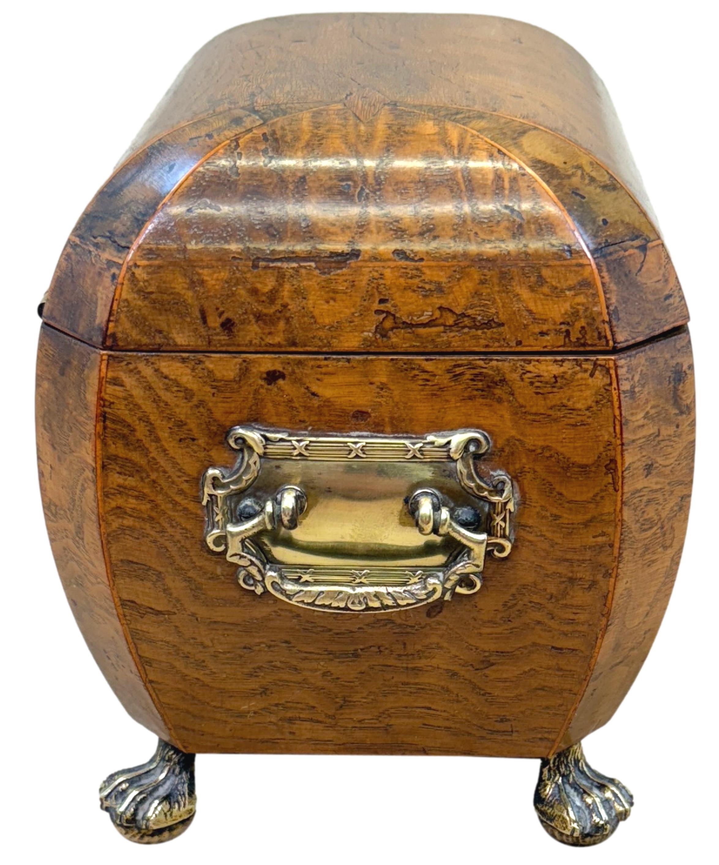 Regency Period Elm Curved Bombe Tea Caddy For Sale 2