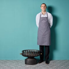 Regency Period English Bowl Fire Grate