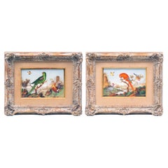 Regency Period English Porcelain Framed Plaques of Parrots