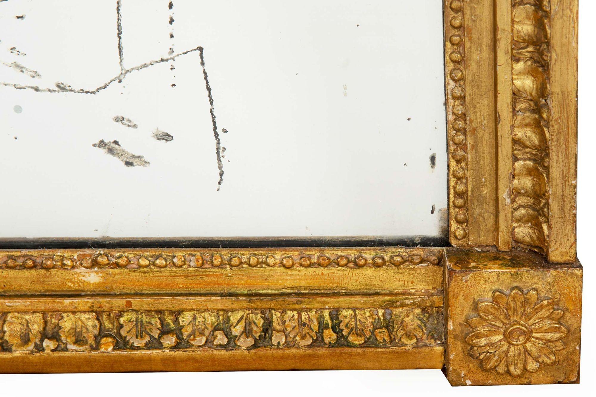 Vergoldeter Pfeilerspiegel mit Löwenmaske aus der Regency-Zeit, frühes 19. (Glas) im Angebot