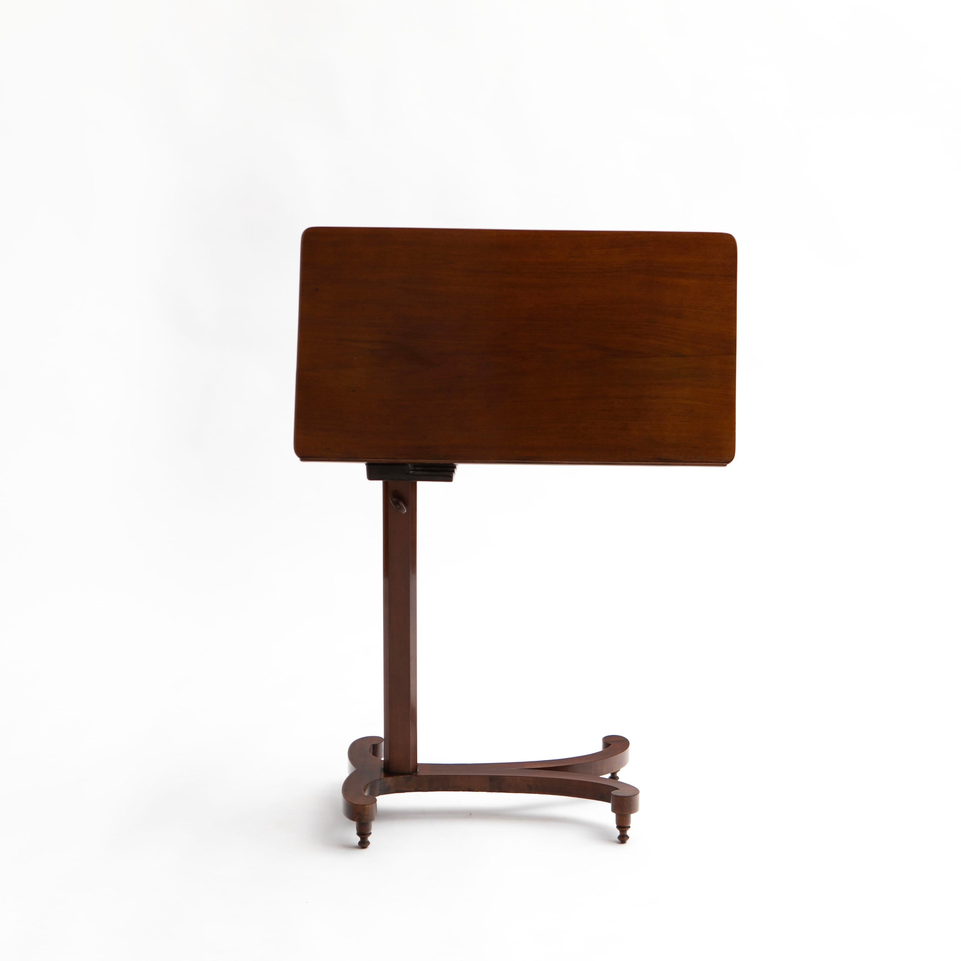 Regency Period Mahogany Lectern or Reading Bedside Table 10