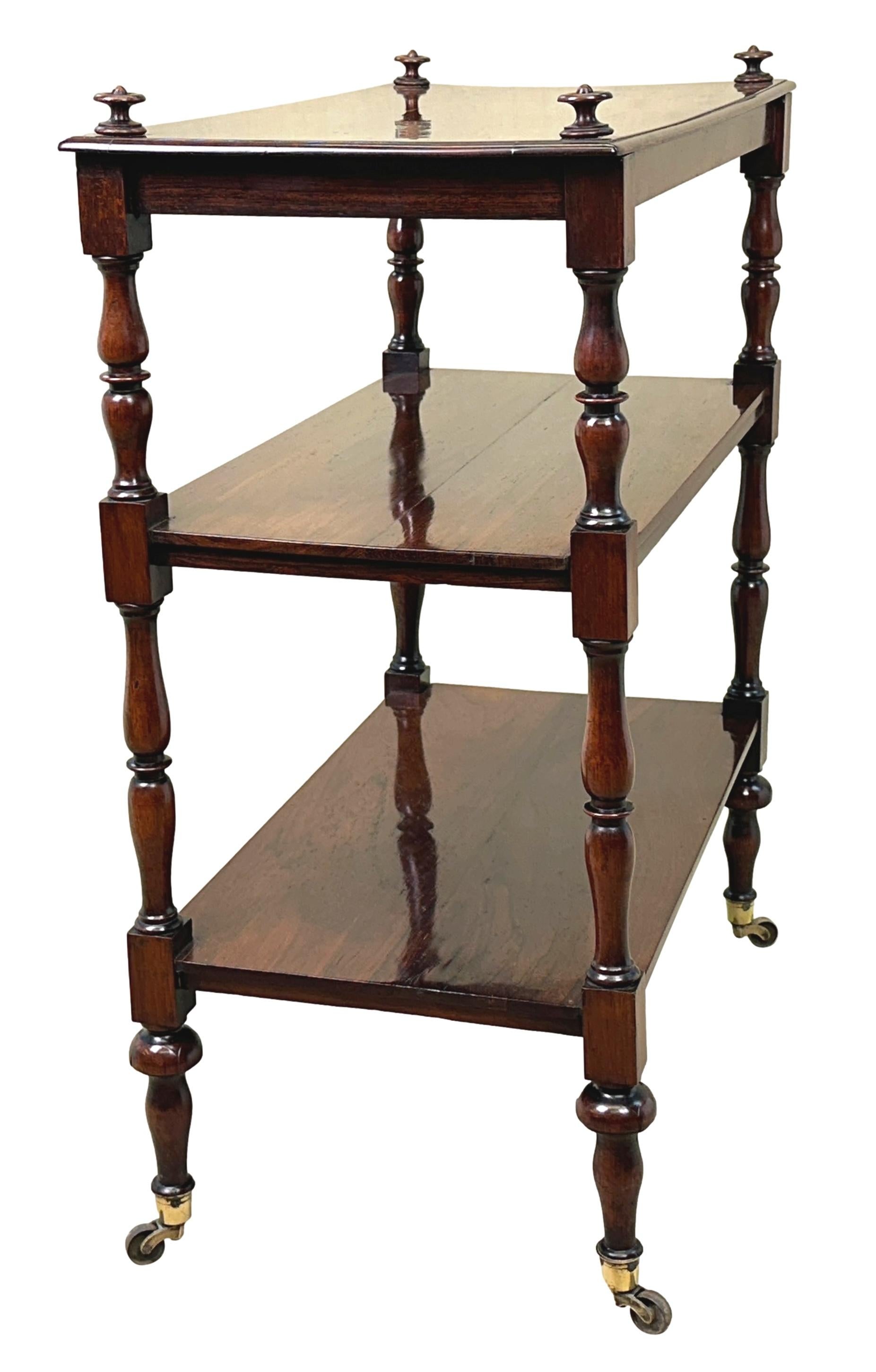 Regency Rosewood 19th Century Étagère 5