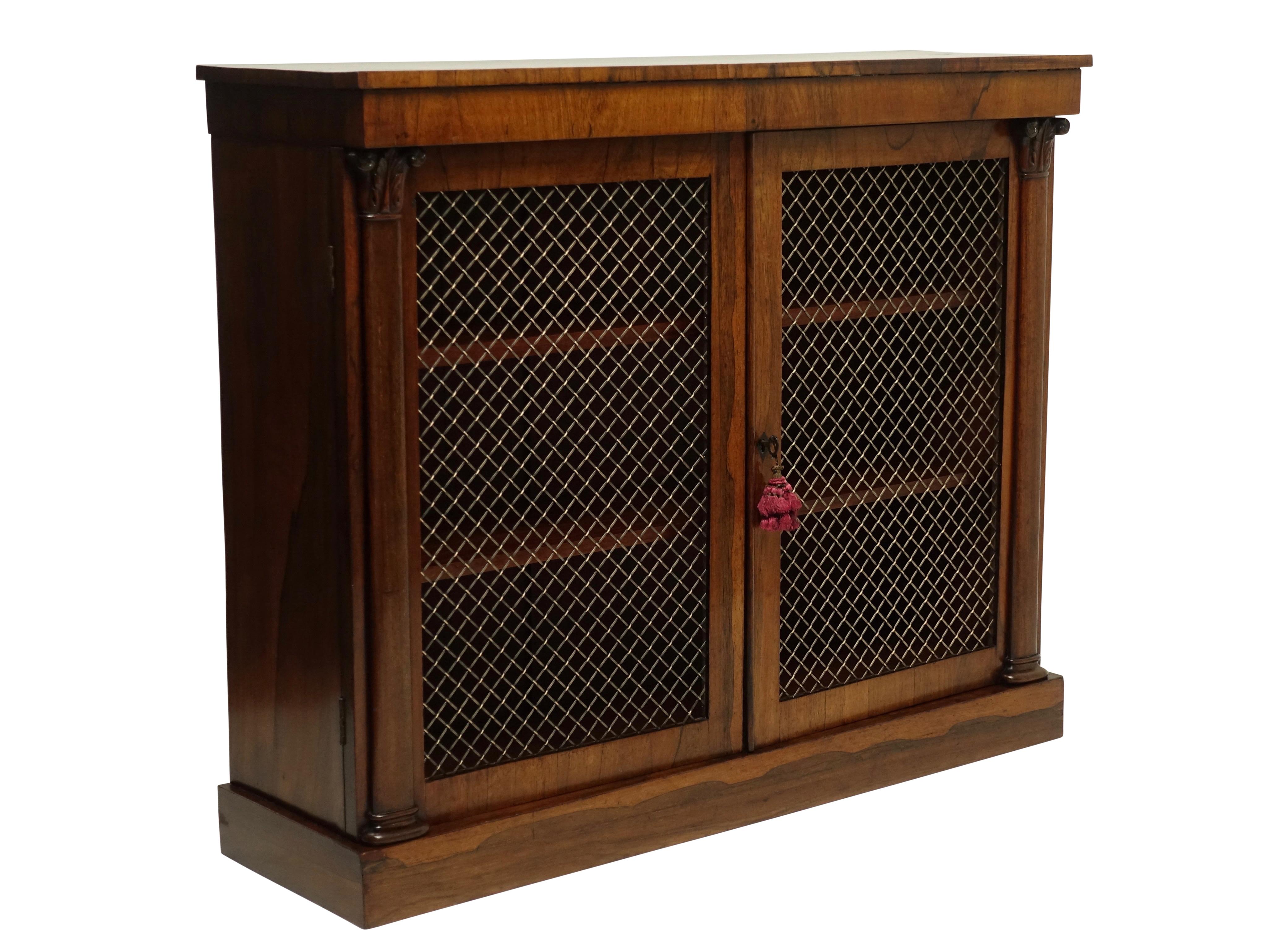 Regency Rosewood Bookcase Cabinet, English 19th Century 10