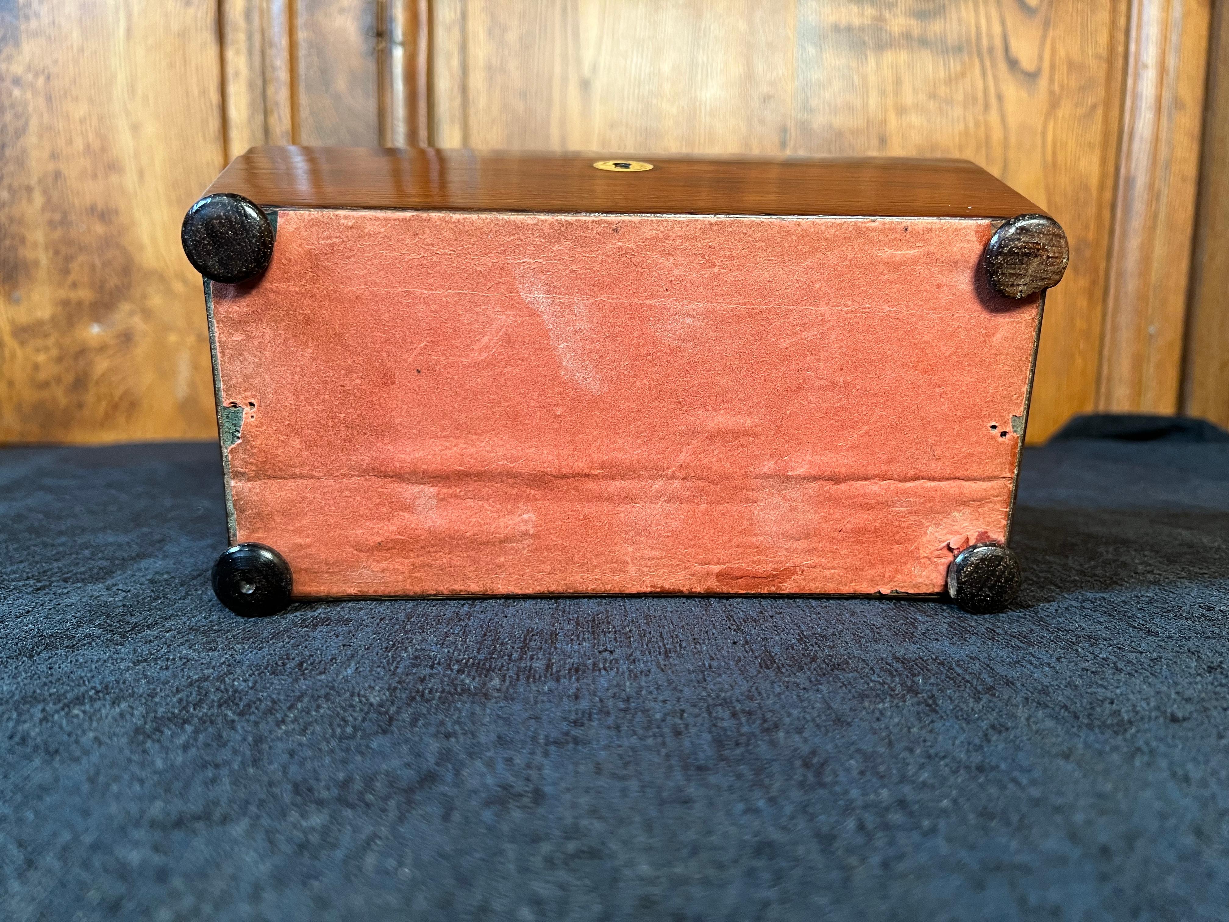 Regency Rosewood Sarcophagus Form Tea Caddy For Sale 4