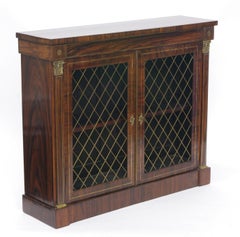 Regency Rosewood Side Cabinet, circa 1820