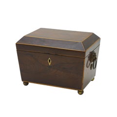 Antique Regency Rosewood Tea Caddy Box