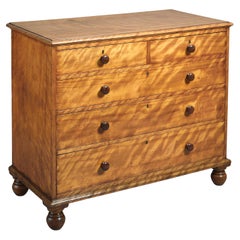 Regency Satin-Birch Chest-of-Drawers