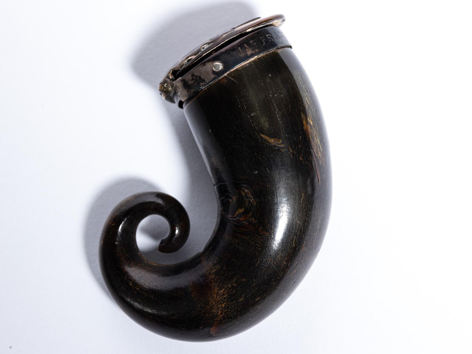 Regency Scottish Horn Mull Snuff Box 5