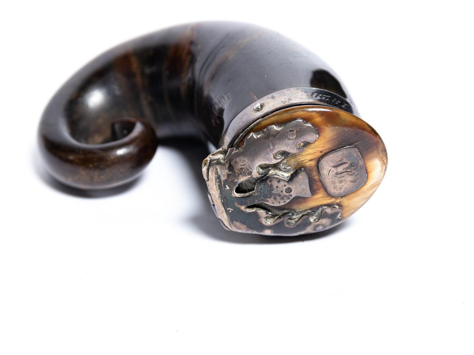 Regency Scottish Horn Mull Snuff Box 6