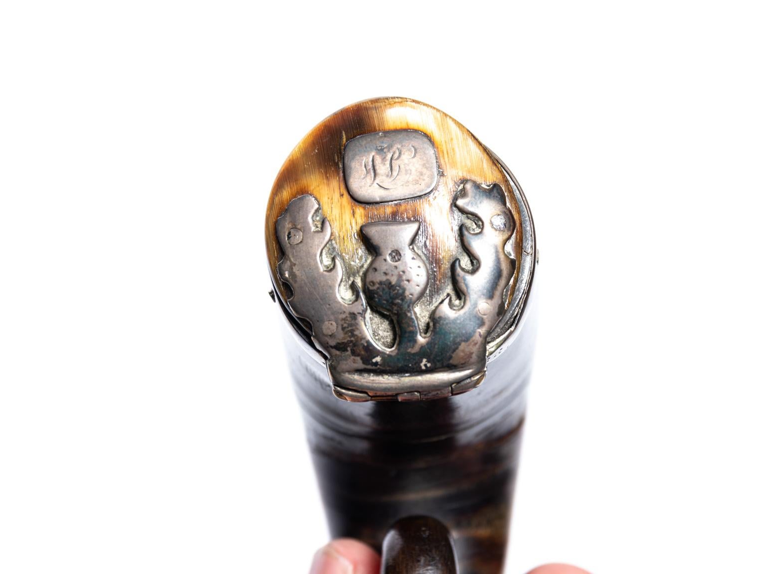 Regency Scottish Horn Mull Snuff Box 7