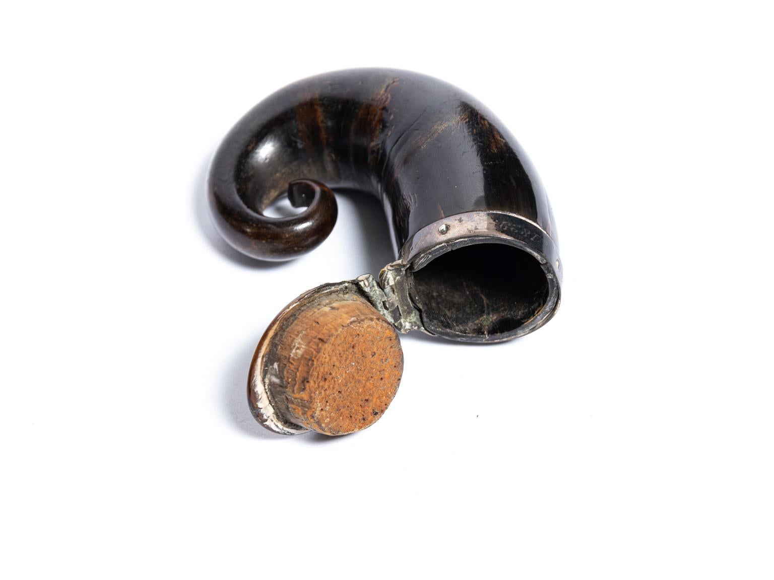 Regency Scottish Horn Mull Snuff Box 8