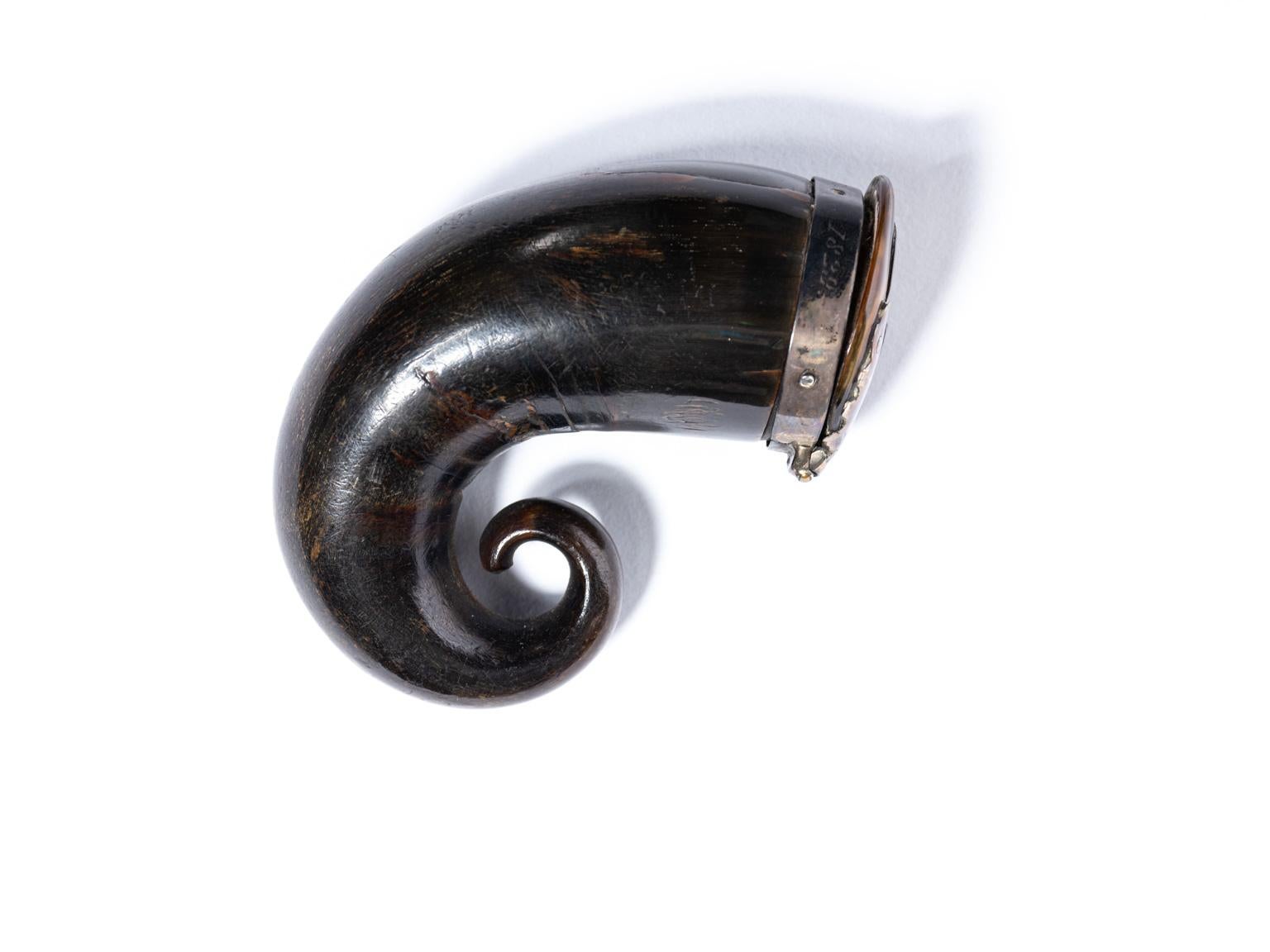 Regency Scottish Horn Mull Snuff Box 1