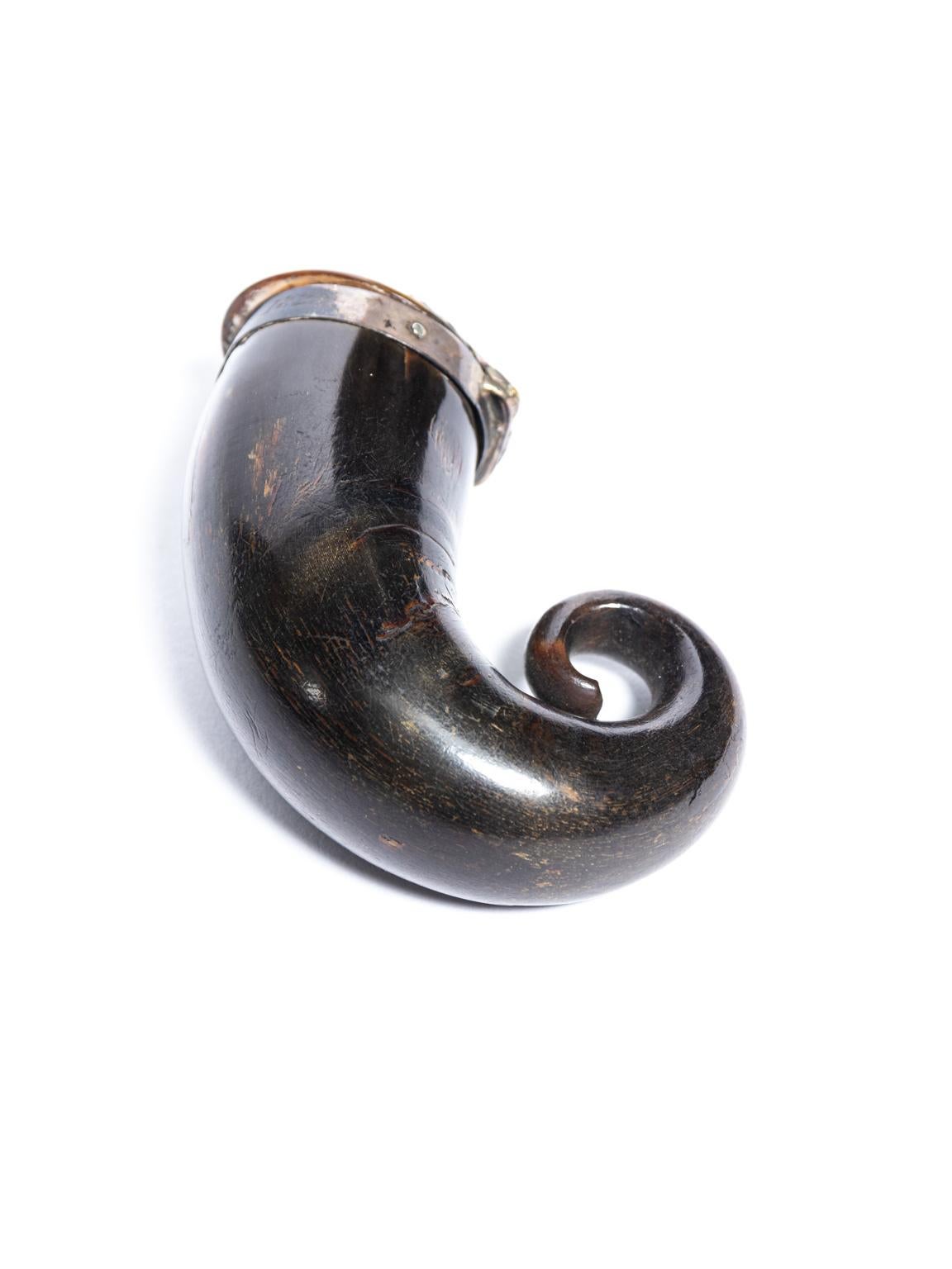 Regency Scottish Horn Mull Snuff Box 2