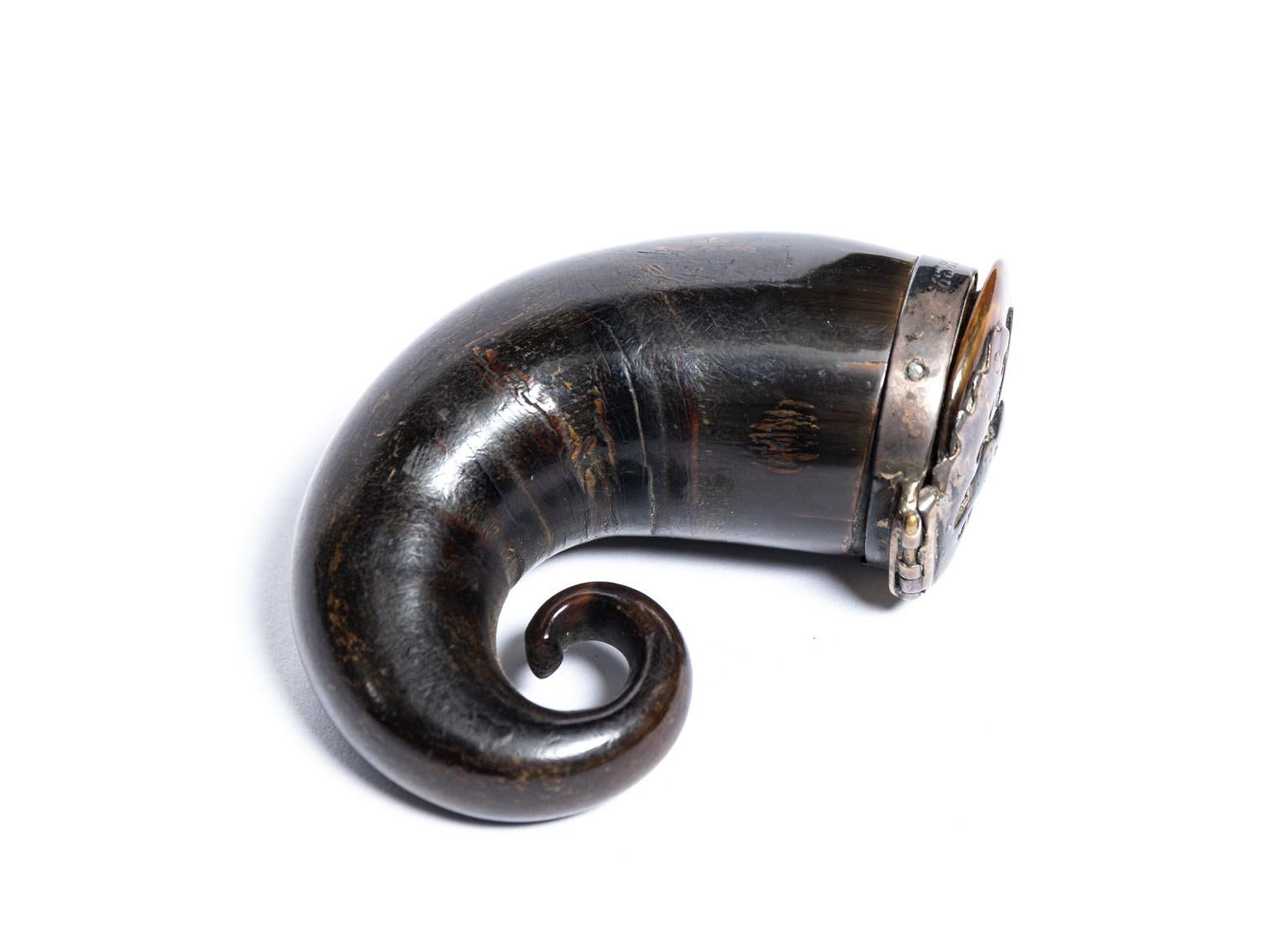 Regency Scottish Horn Mull Snuff Box 3