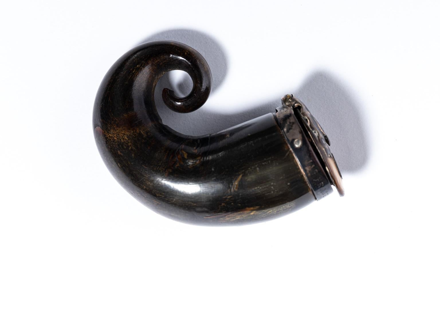 Regency Scottish Horn Mull Snuff Box 4