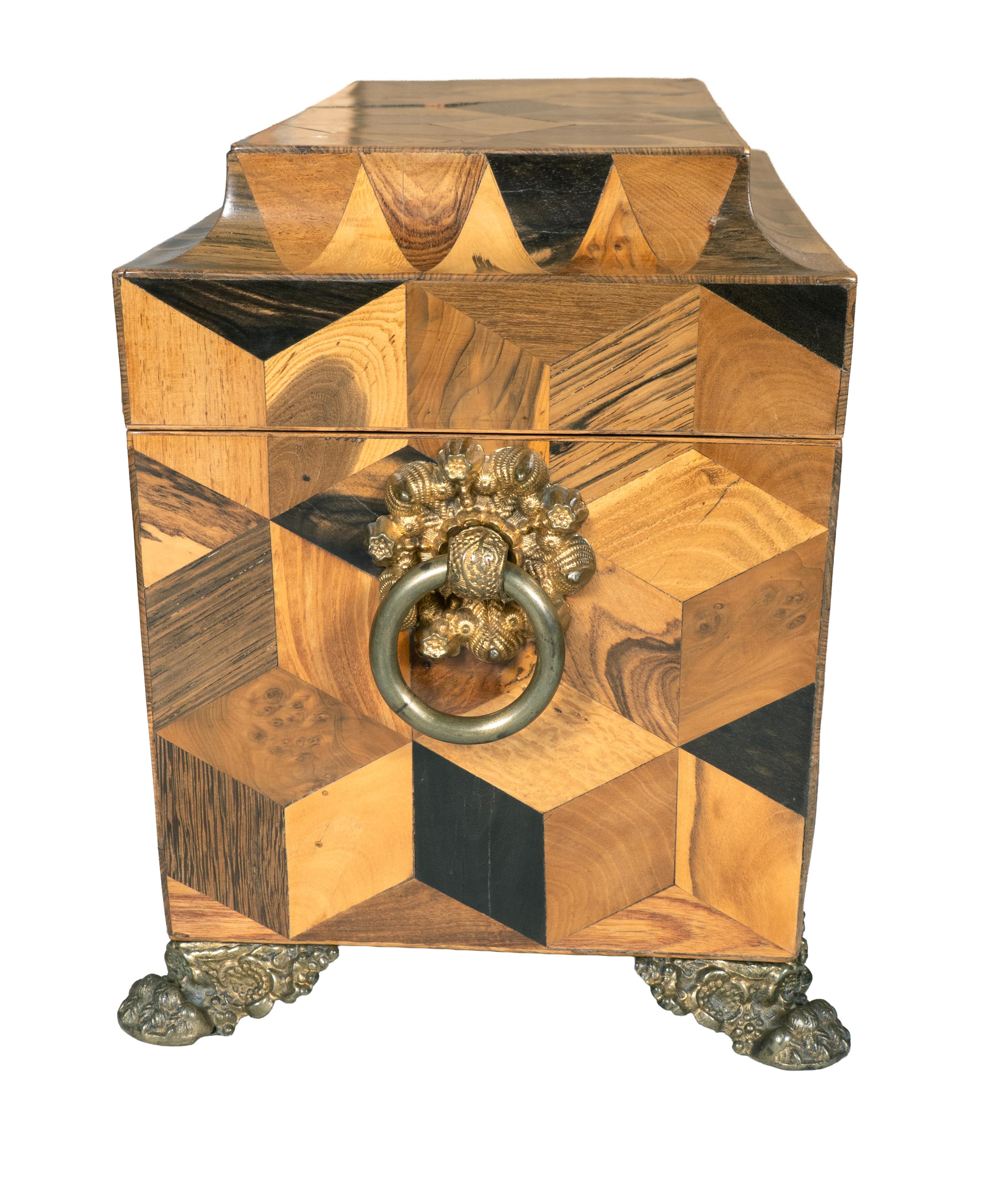 Regency Specimen Wood Parquetry Tea Caddy For Sale 4
