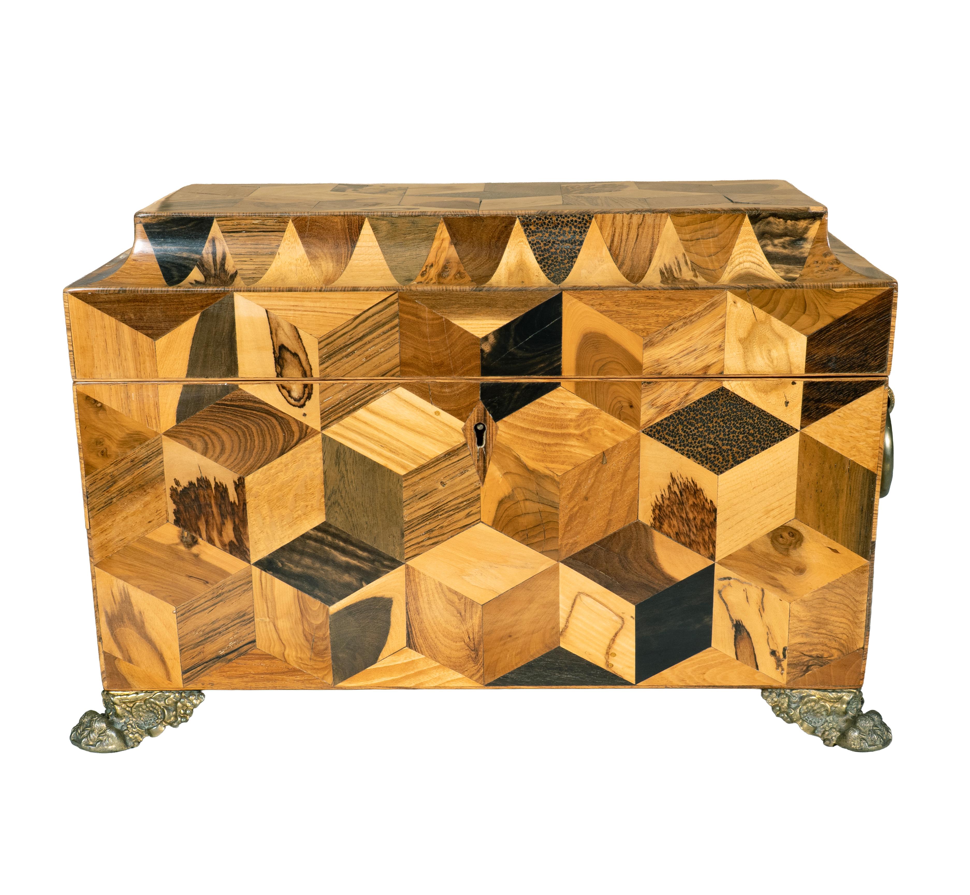 Regency Specimen Wood Parquetry Tea Caddy For Sale 5