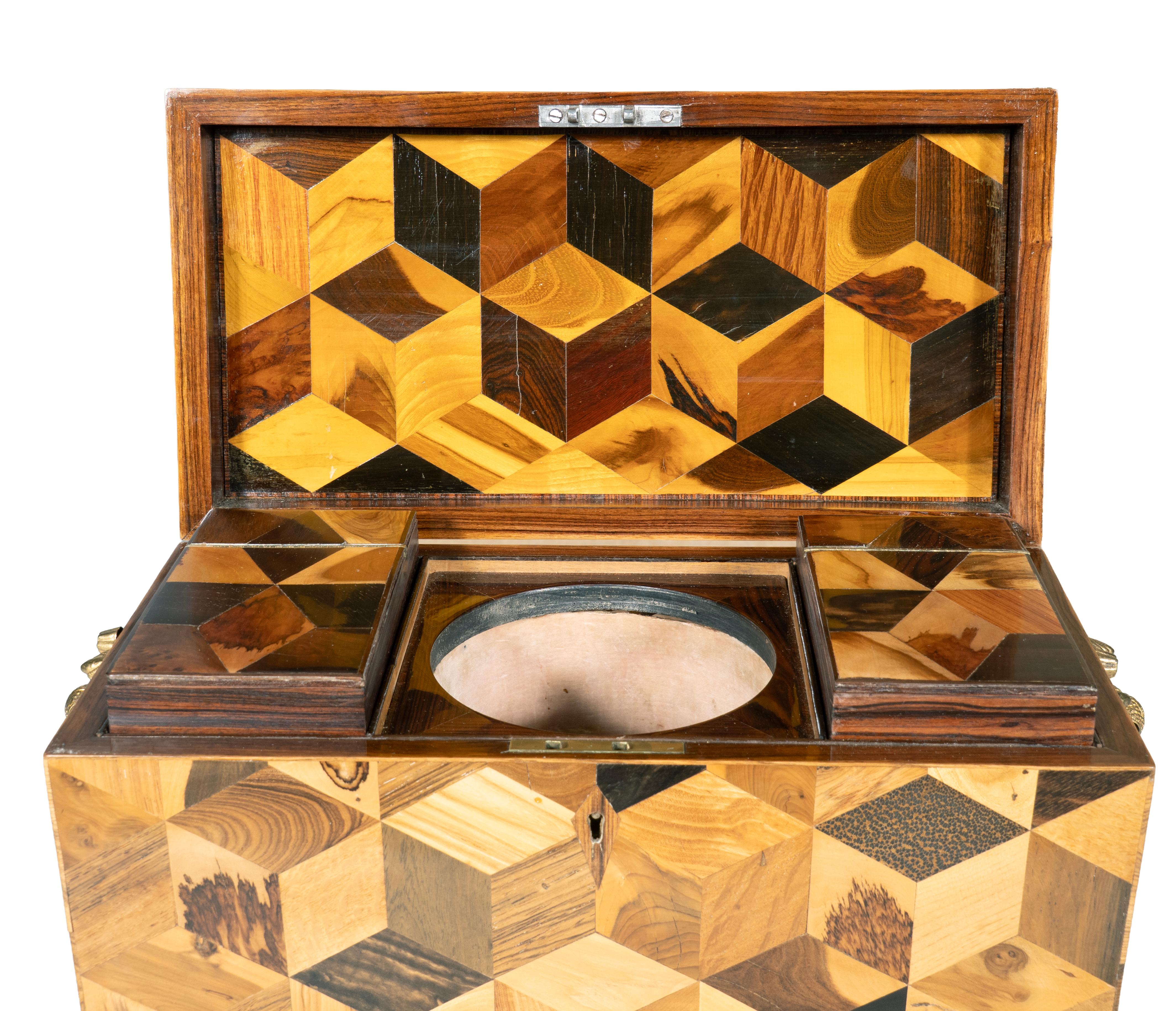 English Regency Specimen Wood Parquetry Tea Caddy For Sale