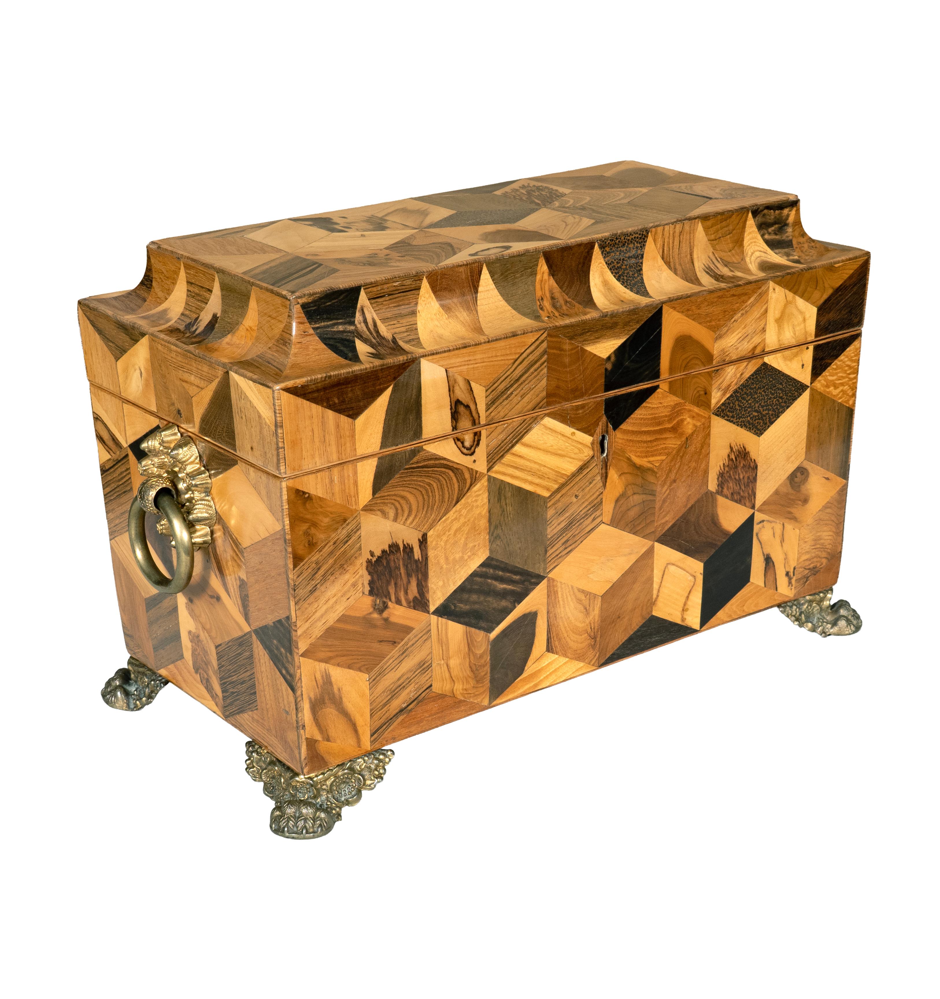 19th Century Regency Specimen Wood Parquetry Tea Caddy For Sale