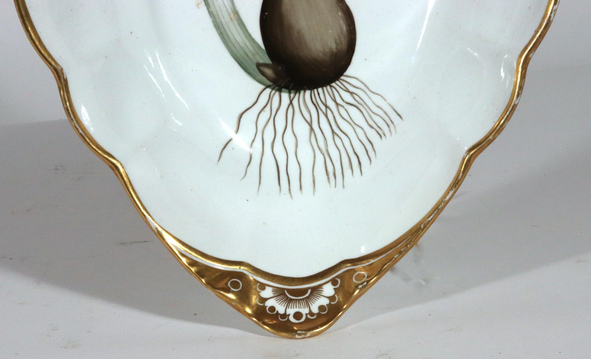 Regency Plat à spécimen botanique en porcelaine Spode de style Régence en vente
