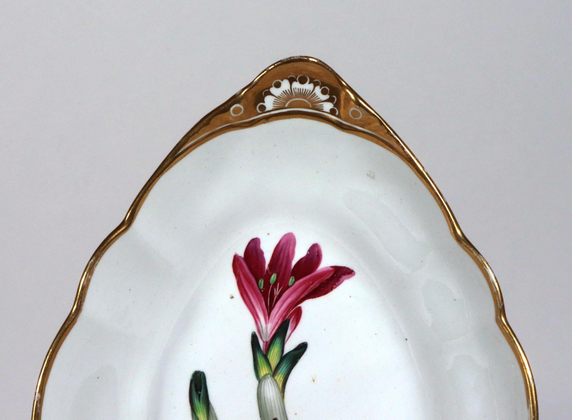 Regency Spode Porcelain Botanical Specimen Dish In Good Condition For Sale In Downingtown, PA