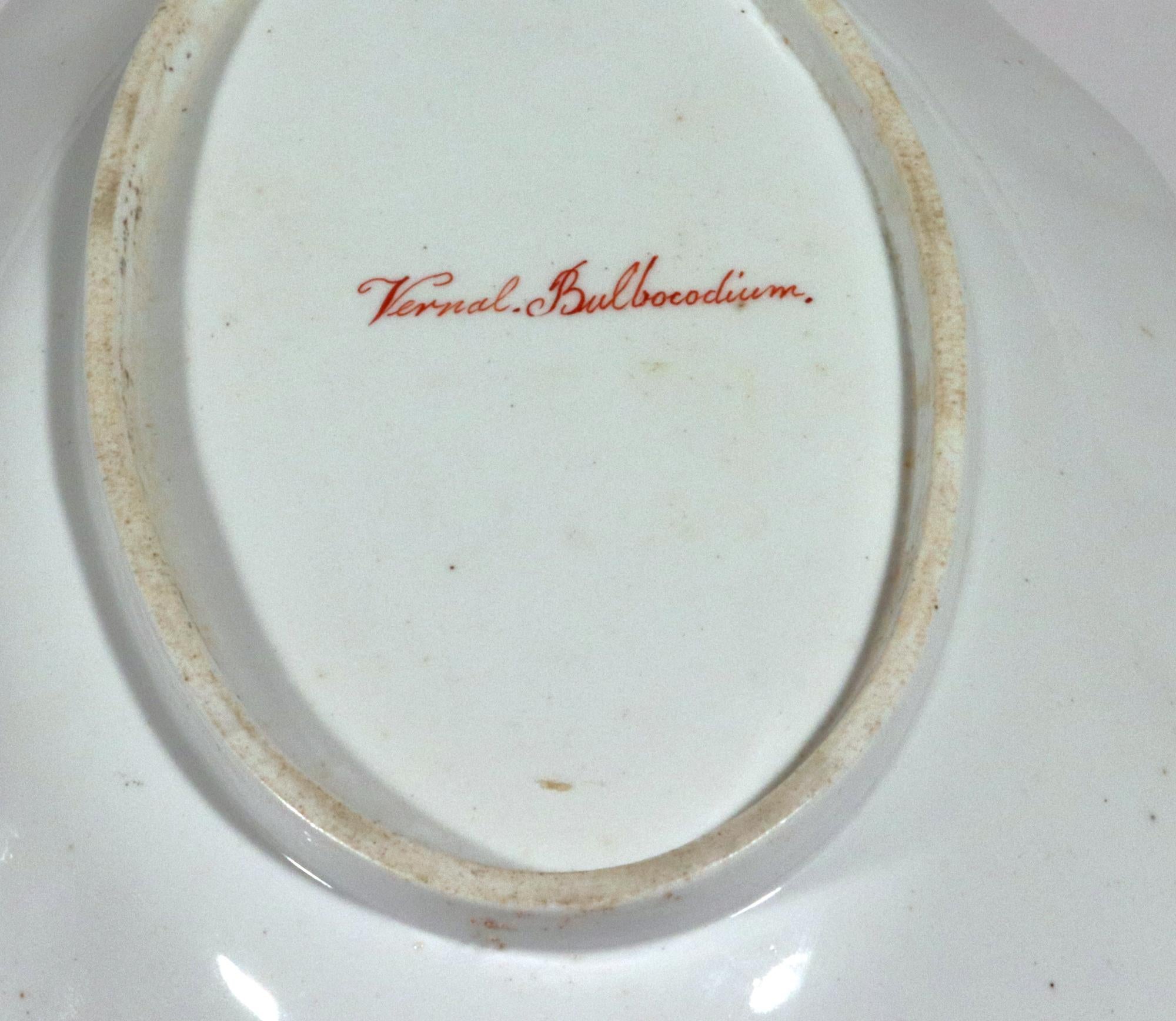 Regency Spode Porcelain Botanical Specimen Dish In Good Condition For Sale In Downingtown, PA