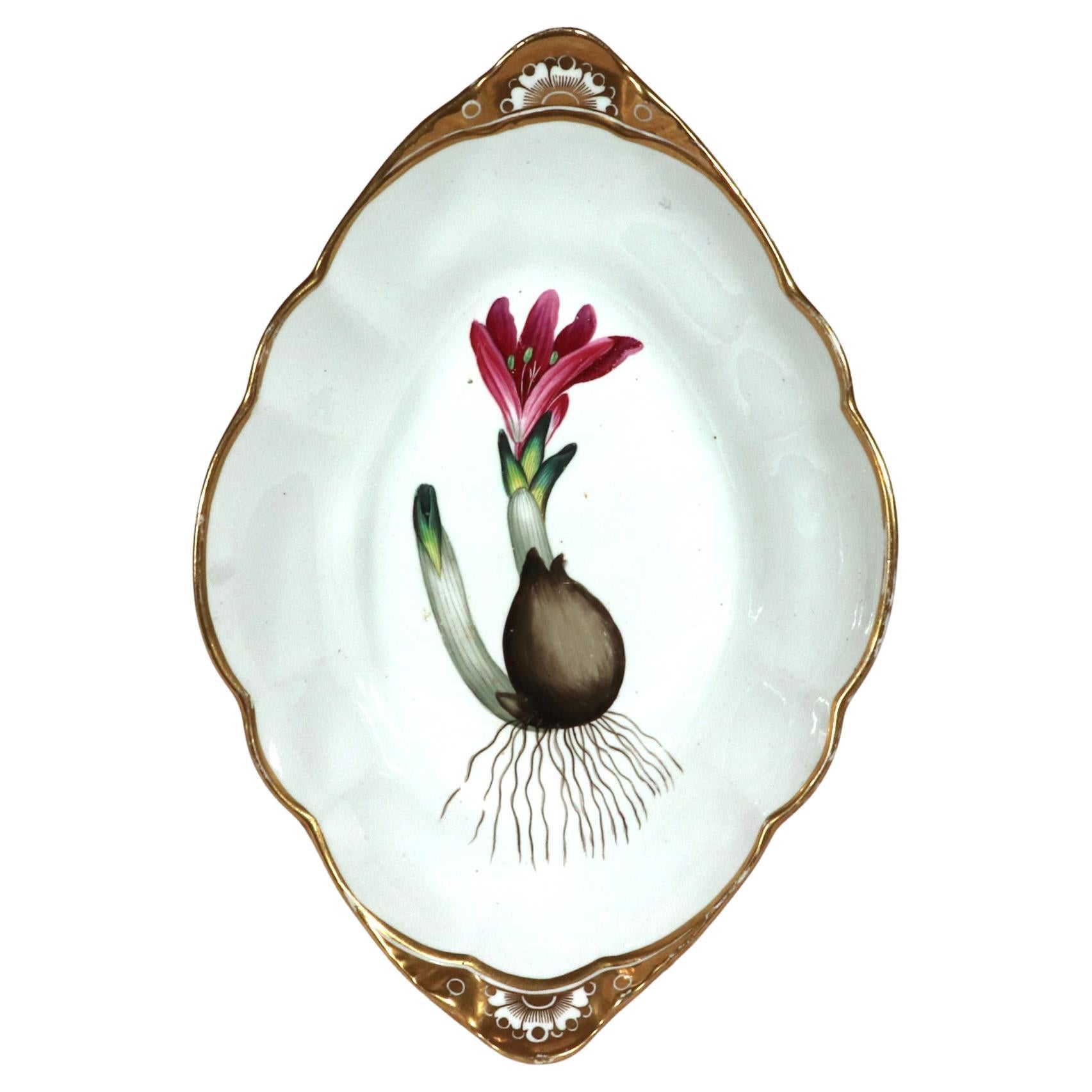 Plat à spécimen botanique en porcelaine Spode de style Régence