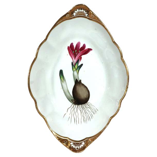 Regency Spode Porcelain Botanical Specimen Dish For Sale at 1stDibs ...