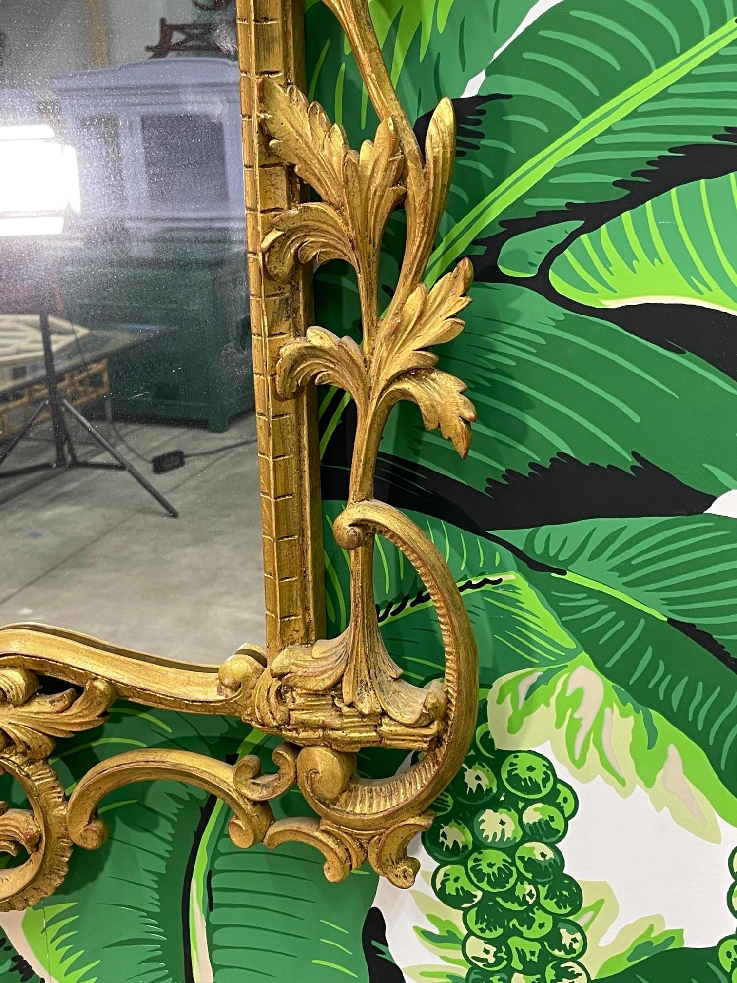 Regency Style Gold vergoldet geschnitzt Akanthusblatt Wandspiegel im Zustand „Gut“ im Angebot in Jacksonville, FL