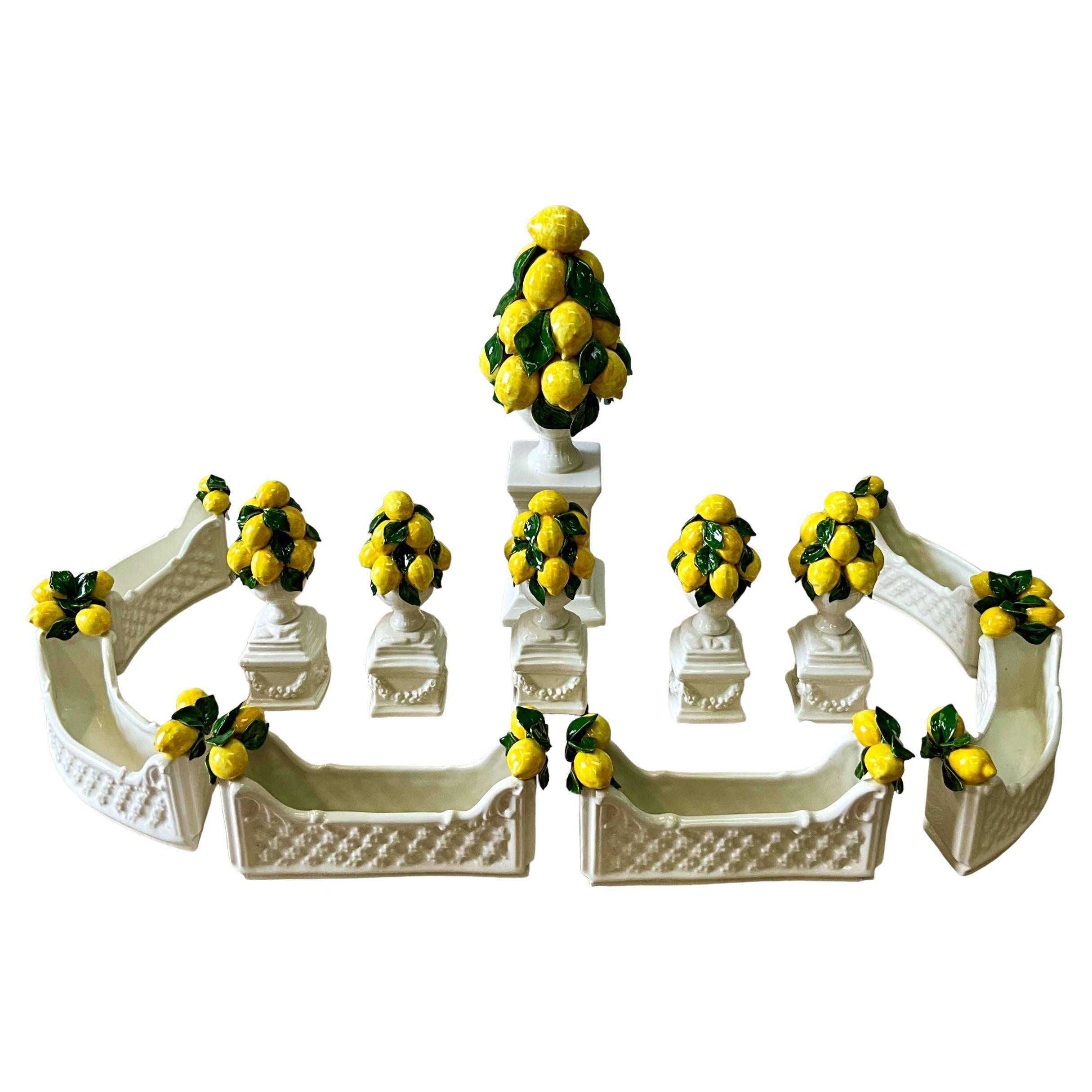J'adore ce set. Je l'ai acheté pour un projet sur lequel je travaillais, et maintenant il va partir dans une nouvelle maison. Il s'agit d'un centre de table en topiaire de citron italien de style Régence. Il s'agit d'un ensemble de 12 pièces  vases