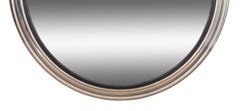 Regency Style Convex Mirror, Brushed Steel, Large Scale