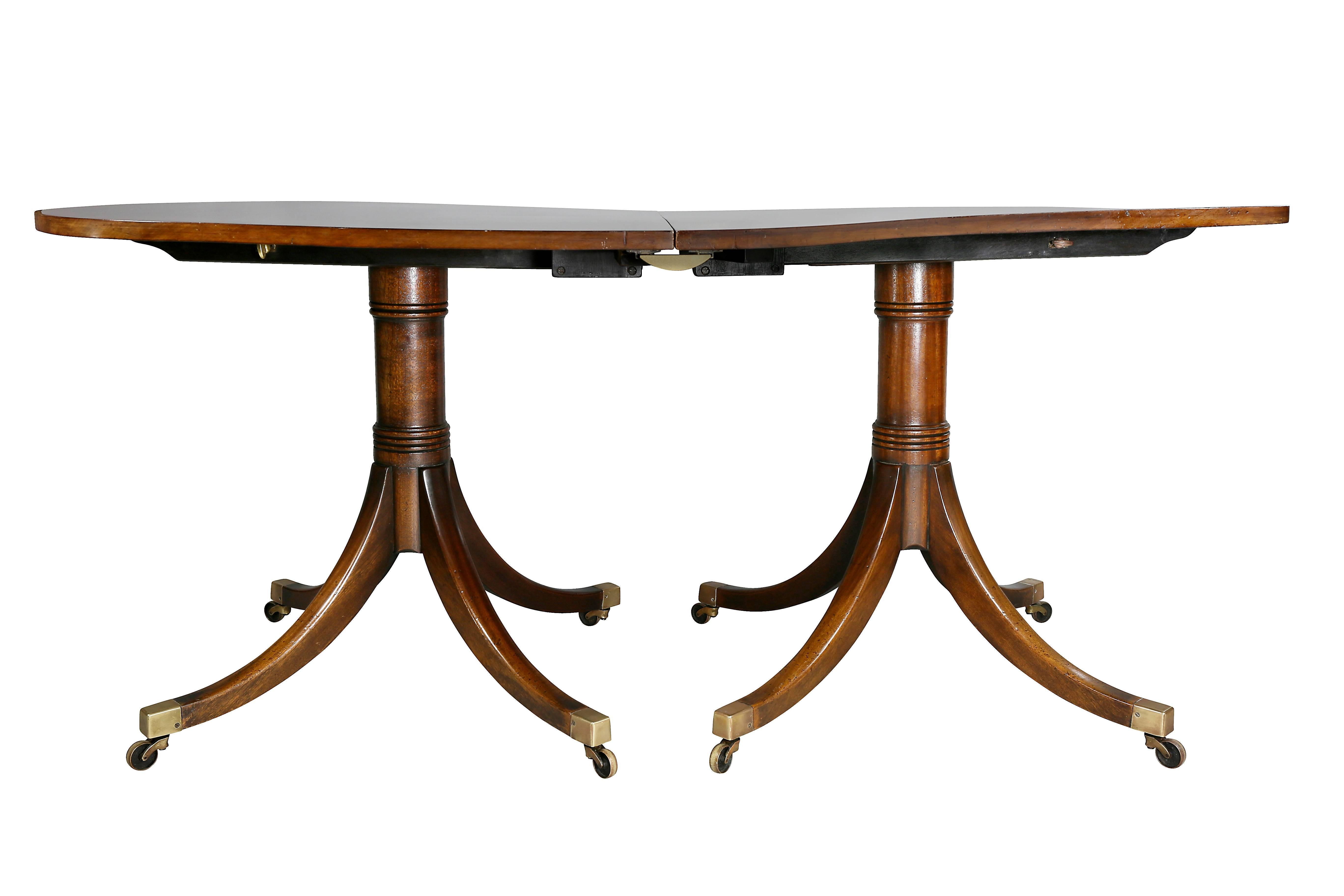 Rectangular top with a rosewood cross band, with two pedestals each with four saber legs ending on casters, with two leaves.